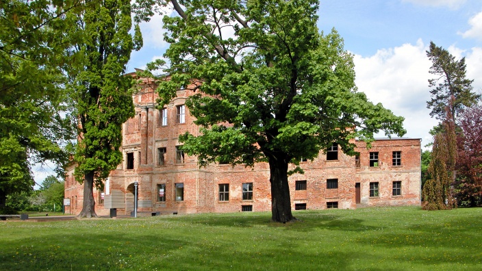 Schlossruine Dahme/Mark